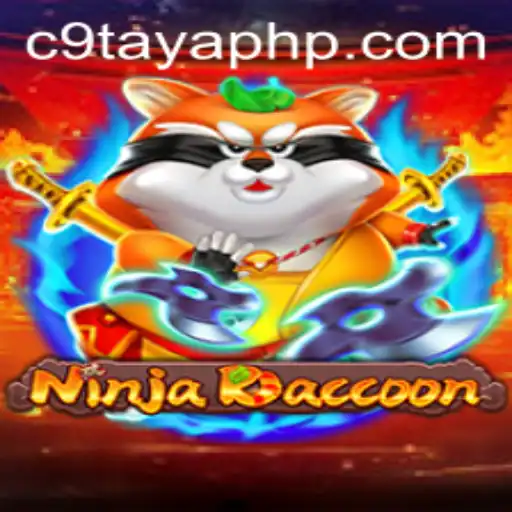 The Exciting World of NinjaRaccoon and the Mysterious C9TAYA